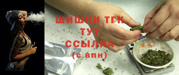 индика Нязепетровск