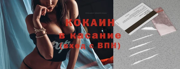 индика Нязепетровск