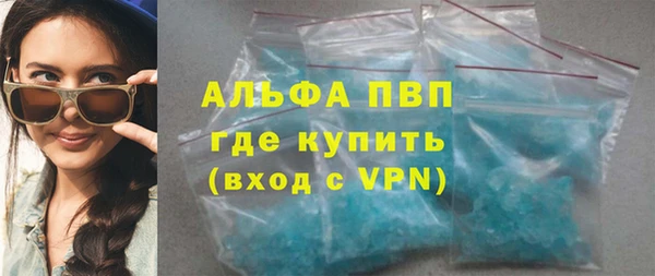 индика Нязепетровск