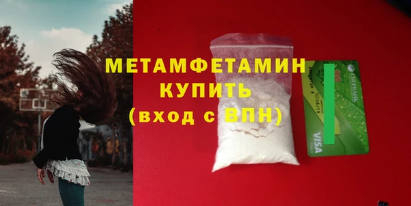 индика Нязепетровск