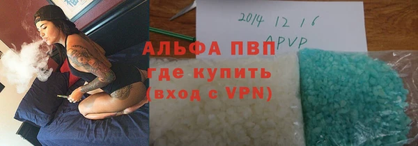 индика Нязепетровск