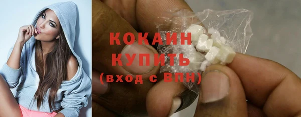 индика Нязепетровск