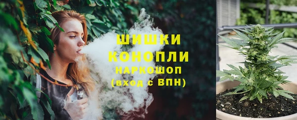 тгк Няндома