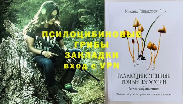 спиды Богородицк