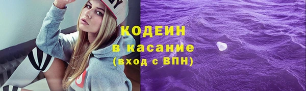 индика Нязепетровск
