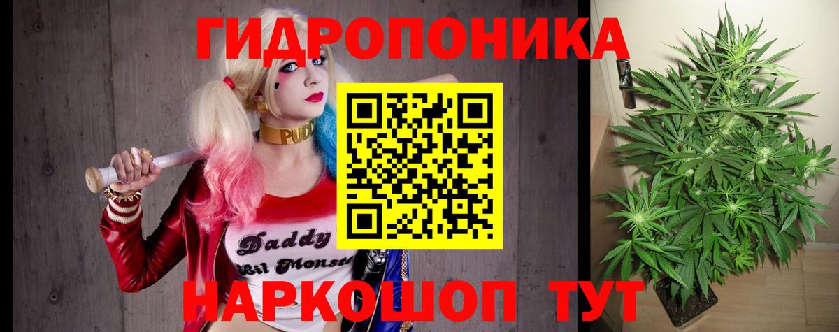 Каннабис планчик  Марихуана OG Kush  Вход с VPN  МАРИХУАНА LSD WEED  Кинешма 